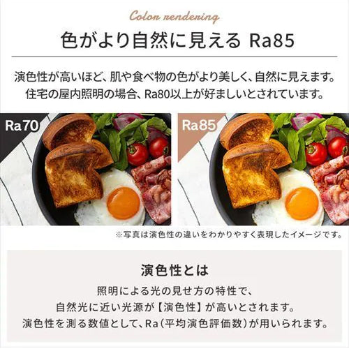 アイリスオーヤマ（IRIS　OHYAMA） φ393x85mm シーリングライト(12畳用) CEA12DL-5.0Q