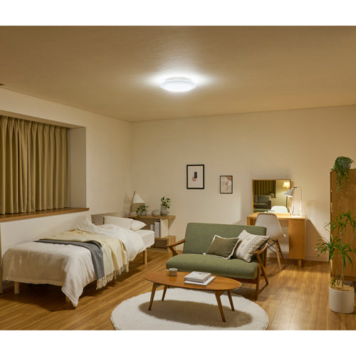 アイリスオーヤマ（IRIS　OHYAMA） φ393x85mm シーリングライト(12畳用) CEA12DL-5.0Q