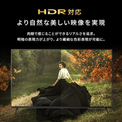 アイリスオーヤマ（IRIS OHYAMA） 55型 デジタルハイビジョン液晶テレビ LT-55UGX-F1