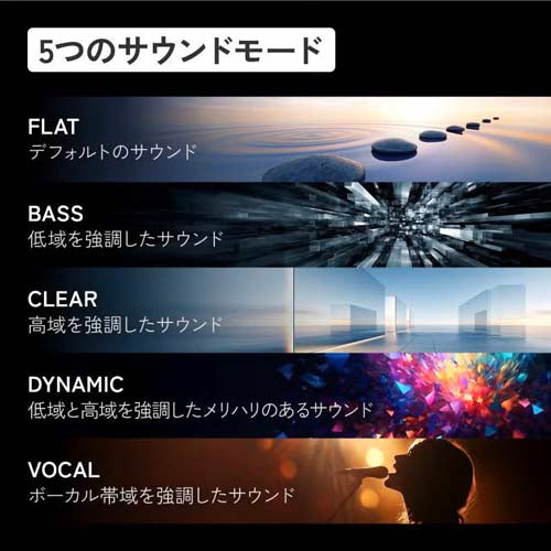 JVCケンウッド ワイヤレスイヤホン(ｶﾅﾙ型) HA-A110T-B
