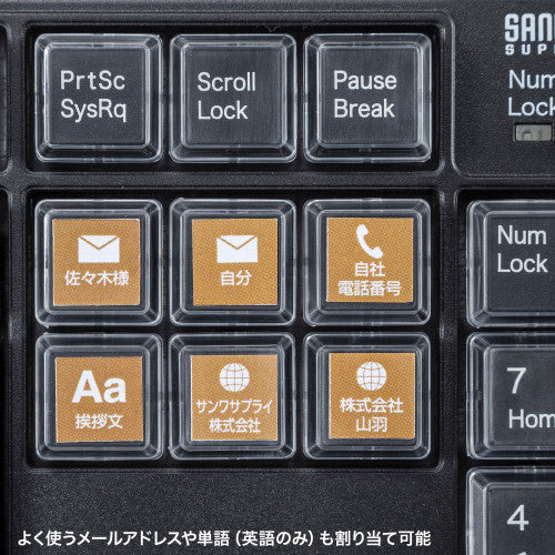 サンワサプライ 443x134x33.6mm  ｷｰﾎﾞｰﾄﾞ(ﾌﾟﾛｸﾞﾗﾏﾌﾞﾙ) SKB-P1BK