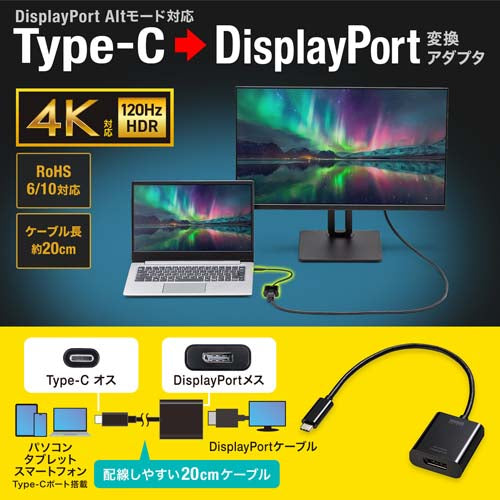 サンワサプライ 変換アダプター(USB TypeC-Display Port) AD-ALCDP02