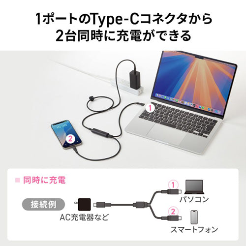 サンワサプライ 1.2m USBケーブル（C-CC/2.0/PD100W対応） KU-CCP100D12BK