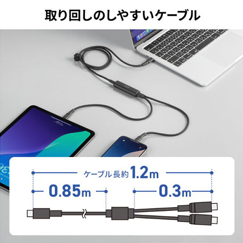サンワサプライ 1.2m USBケーブル（C-CC/2.0/PD100W対応） KU-CCP100D12BK