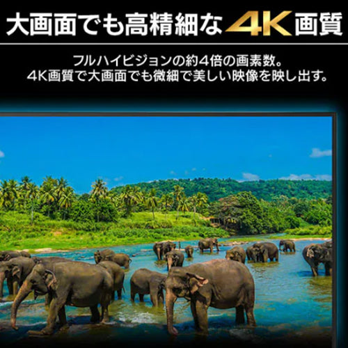 アイリスオーヤマ（IRIS　OHYAMA） 55ｲﾝﾁ 大型液晶ディスプレイ DO-DU554S-B