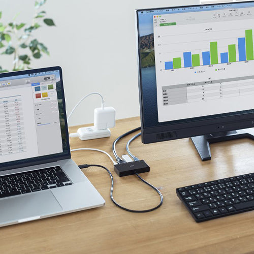 サンワサプライ [USB Type C] ドッキングハブ AD-ALCMHL1BK