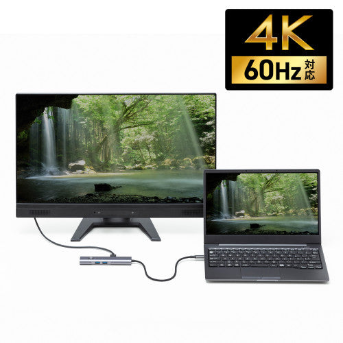 サンワサプライ [USB Type C] ドッキングハブ(LANポート付) USB-5TCHLP16GM