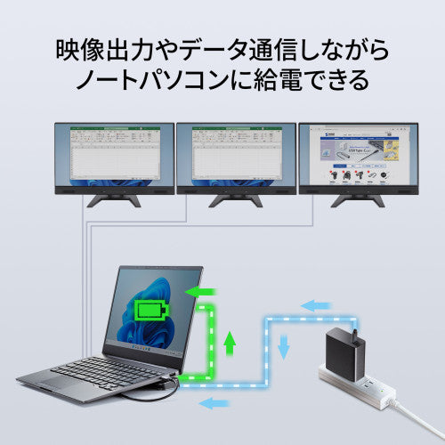 サンワサプライ [USB TypeC] ﾄﾞｯｷﾝｸﾞｽﾃｰｼｮﾝ(3画面対応) USB-CVDK13