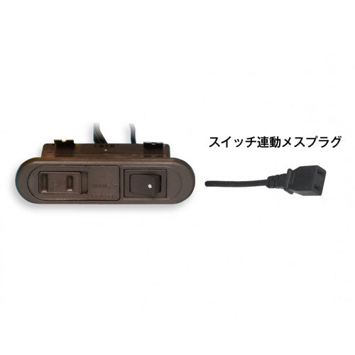 ESCO（エスコ） AC125V/15Ax2m ｺﾝｾﾝﾄ(埋め込み･ｽｲｯﾁ付/茶) EA815HS-2