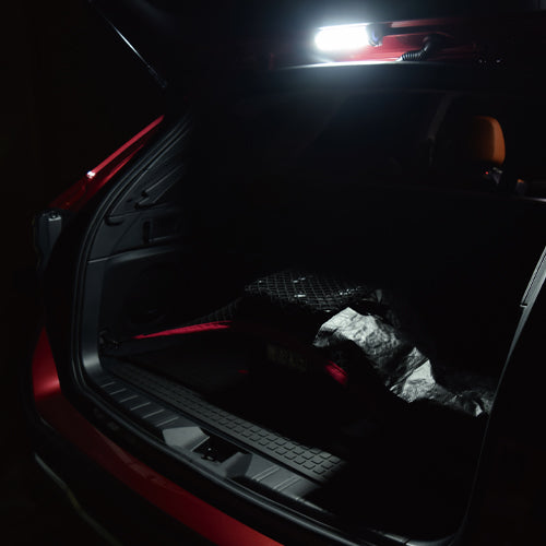 日動工業 3W [充電式]LED作業灯(防雨型/ﾏｸﾞﾈｯﾄ付) LMTW-3CH