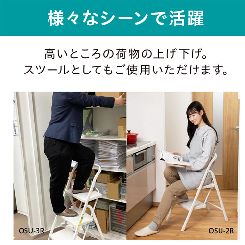 アイリスオーヤマ（IRIS OHYAMA） 400x600x790mm 踏台(ﾜｲﾄﾞｽﾃｯﾌﾟ) OSU-2R