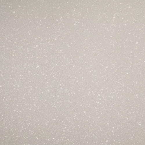 アイリスオーヤマ（IRIS OHYAMA） 370x160x68mm エッグパン(IH対応) NTL-EGMO