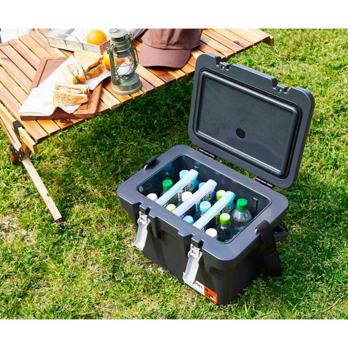 アイリスオーヤマ（IRIS OHYAMA） 55x33x185mm ｽﾃｨｯｸ型保冷剤(超低温) HHC-ST