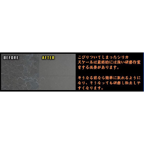 ESCO（エスコ） 300ml スケール除去剤（ミネラル融解） EA922AF-21