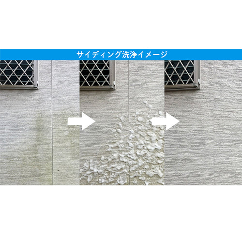 アサヒペン 800g コケ・カビ・黒ずみ用クリーナー S027