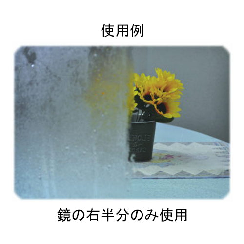 ESCO（エスコ） 260g ガラス洗浄剤(ｺｰﾃｨﾝｸﾞ剤入) EA922AJ-319