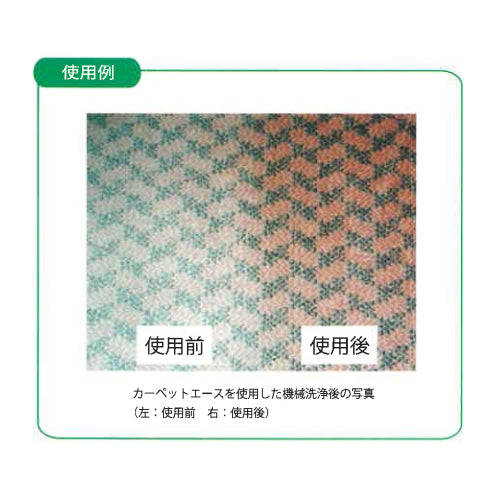 ESCO（エスコ） 500ml カーペットしみとり剤(ﾊﾞｲｵ) EA922AJ-73
