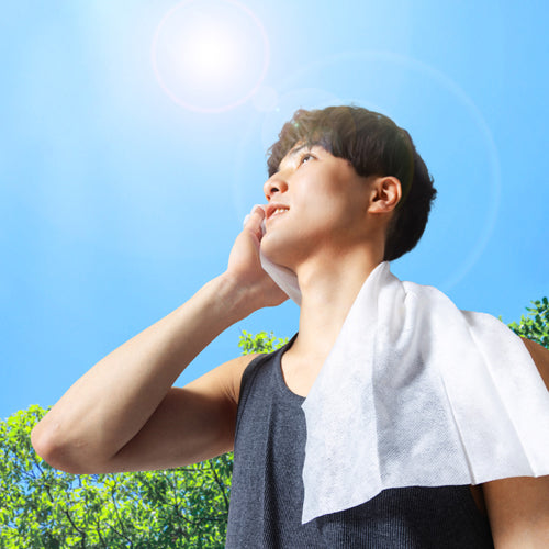 アイリスオーヤマ（IRIS OHYAMA） 600x400mm 超大判汗拭きシート(20枚入) SCLT-20