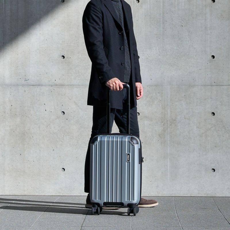 ESCO（エスコ） 330x250x480mm/37L  キャリーケース(ｼﾙﾊﾞｰ) EA927AX-1D