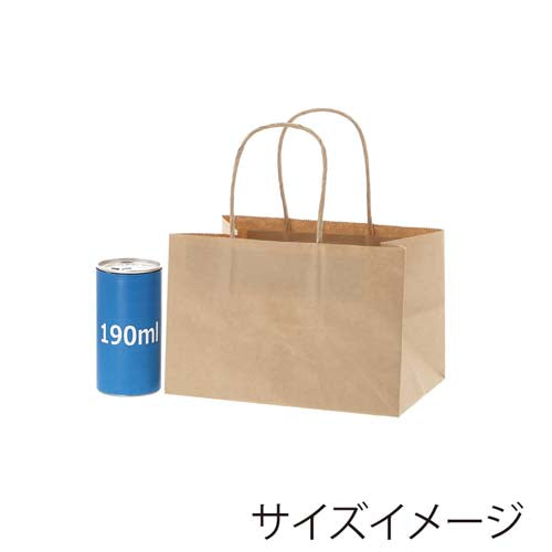 ESCO（エスコ） 200x130x130mm 紙袋(無地/20枚) EA927SA-35