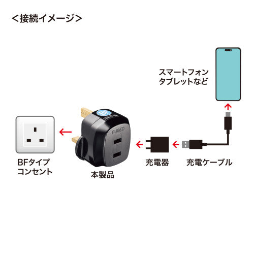 サンワサプライ AC250V/6A  [BFﾀｲﾌﾟ] 海外用変換プラグ TR-AD20
