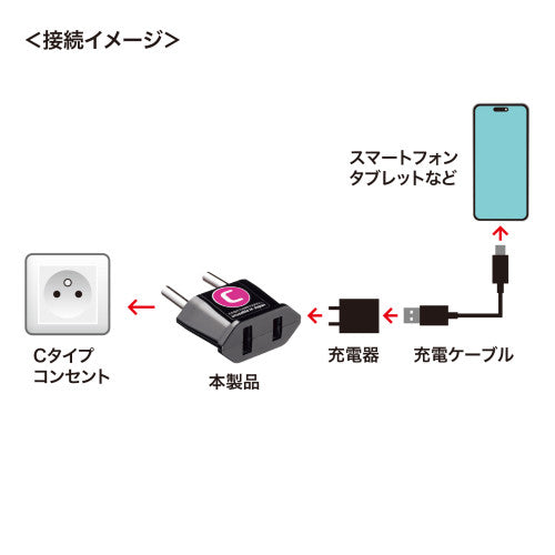サンワサプライ AC250V/6A  [Cﾀｲﾌﾟ] 海外用変換プラグ TR-AD22