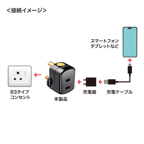 サンワサプライ AC250V/6A  [B3ﾀｲﾌﾟ] 海外用変換プラグ TR-AD24