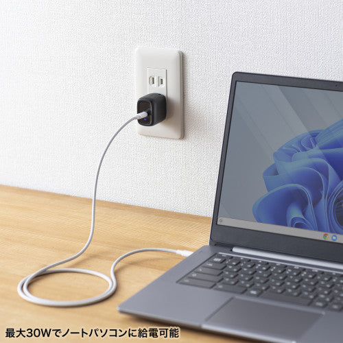 サンワサプライ AC100-240V USBPD充電器(1P/3A/黒/TypeC) ACA-PD99BK