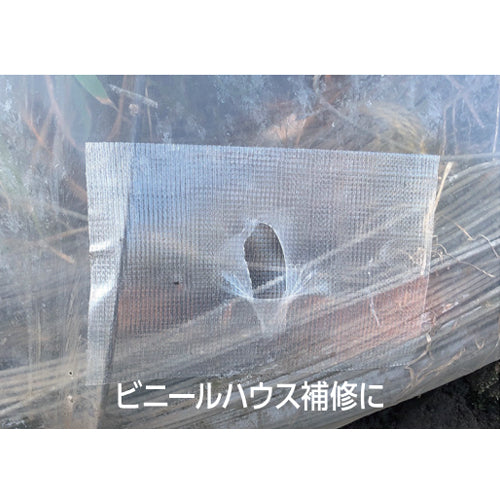 ESCO(エスコ) 50mmx20m 万能補修テープ(耐候性/ナチュラル) EA944RR-41