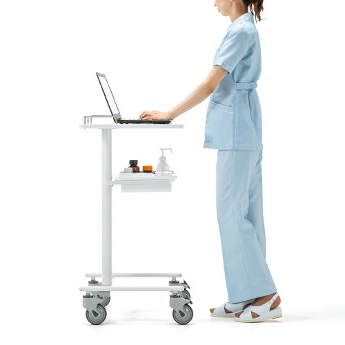 サンワサプライ 465x500x988mm  [立作業用]PCラック RAC-HP17