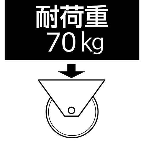 東正車輌（TOSEI） 75mm ｷｬｽﾀｰ(自在金具/Wｽﾄｯﾊﾟｰ/高導電) WJ-75RBE-WS