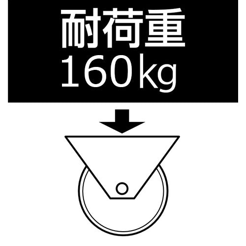 東正車輌（TOSEI） 150mm ｷｬｽﾀｰ(自在金具/Wｽﾄｯﾊﾟｰ/高導電) WJ-150RBE-WS