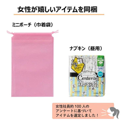キングジム（KING JIM） 災害衛生セット(女性用/A4ｻｲｽﾞ) HGS-300