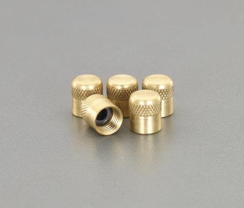 ESCO（エスコ） 1/4” フレアーシールキャップ(5個) EA400B-2