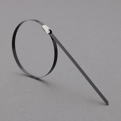 ESCO（エスコ） 4.6x300mm 結束バンド(SUS316/ｺｰﾃｨﾝｸﾞ/10本 EA463FW-205