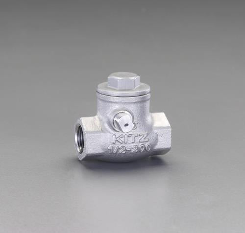 ESCO（エスコ） 1 ” スイングチャッキバルブ EA465AA-10