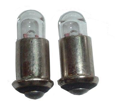 ESCO（エスコ） 交換用電球(EA756BH-2・20用 /2個) EA756BH-29