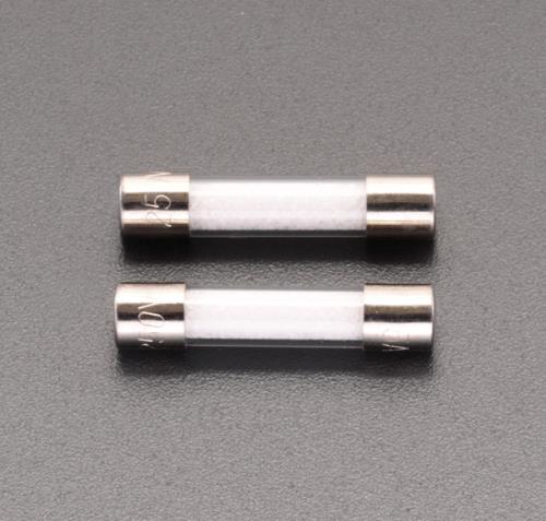 ESCO（エスコ） 250Vx1.0A/φ5.2mm 管ﾋｭｰｽﾞ(消弧剤入/2本) EA758ZX-22