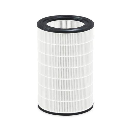 アイリスオーヤマ（IRIS OHYAMA） [EA763AD-112用] フィルター IAP-A100FL