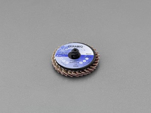 ESCO（エスコ） # 80/50mm セラミックディスク EA819KV-104