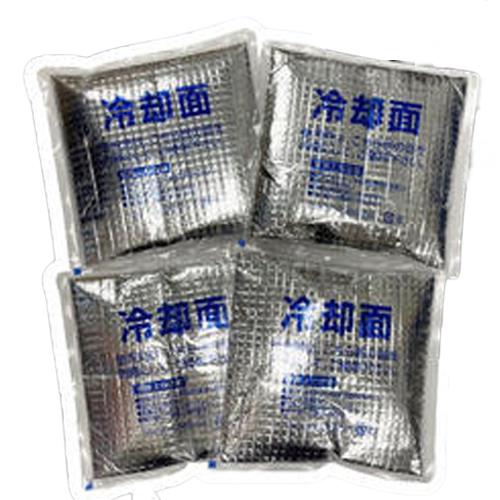 ESCO（エスコ） 165x160x15mm 保冷剤(4個) EA917H-22