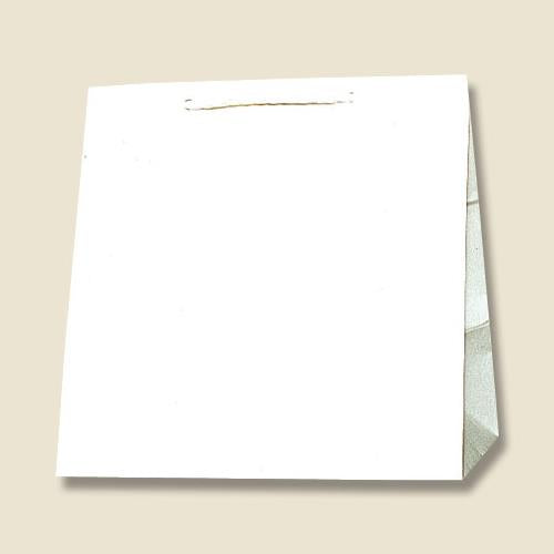 ESCO（エスコ） 300x210x310mm 紙袋(白無地/50枚) EA927SB-23