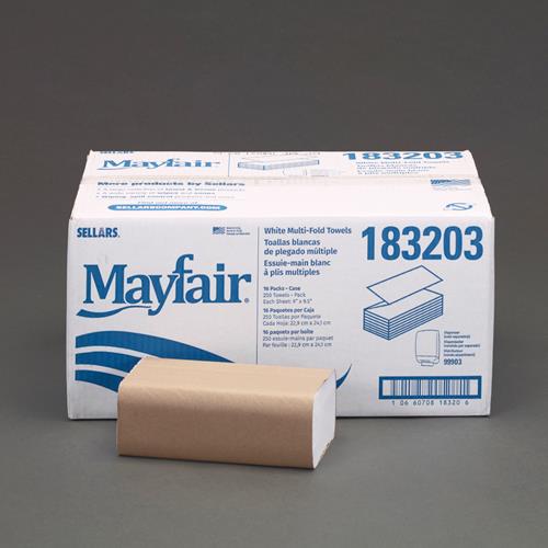 ESCO（エスコ） 228x241mm ペーパータオル(250枚/16ﾊﾟｯｸ) EA929AP-143B