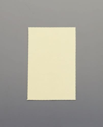 ESCO（エスコ） 125x195mm 貴金属用磨きクロス(研磨材入り) EA929DA-20