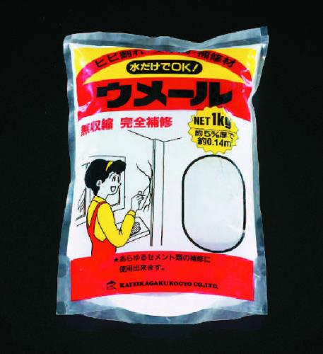 ESCO（エスコ） 1.0kg ひび割れ補修材(ﾎﾜｲﾄ) EA934KB-23