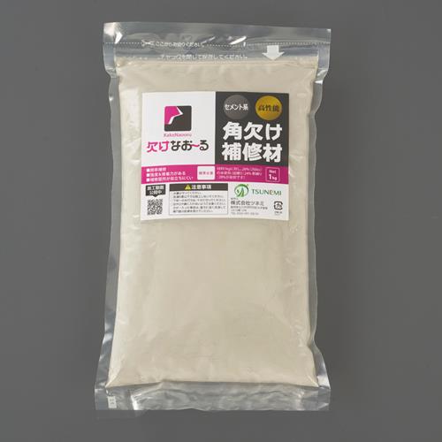 ESCO（エスコ） 1.0kg モルタル･コンクリート補修材 EA934KB-91