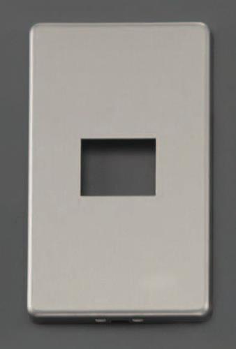 パナソニック（Panasonic） プレート(1個/1列/ﾒﾀﾙ製) WN65019