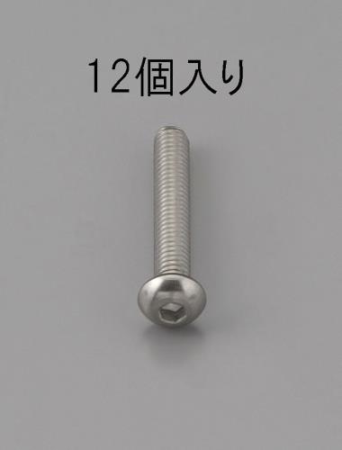ESCO（エスコ） M6 x10mm 六角穴付鍋頭ﾎﾞﾙﾄ(ｽﾃﾝﾚｽ製/12本) EA949MF-610
