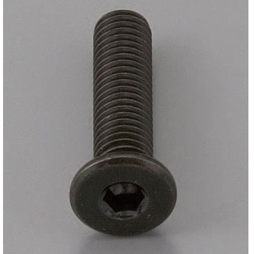 ESCO（エスコ） M8 x16mm 六角穴付ﾎﾞﾙﾄ(超低頭/ｸﾛﾒｰﾄ/2本) EA949MG-816A