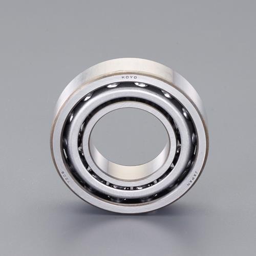 ESCO（エスコ） [7305]アンギュラ玉軸受 EA966FA-305